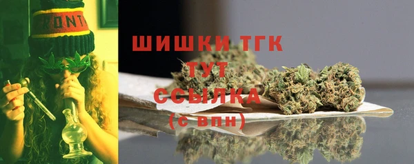 трава Бородино