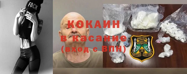 трава Бородино