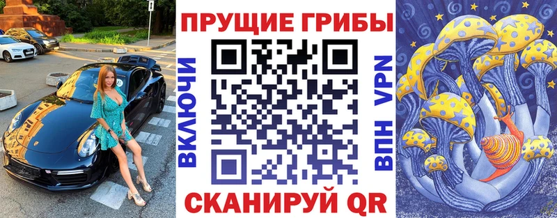 OMG маркетплейс  Коломна  Галлюциногенные грибы Psilocybine cubensis  купить наркотики цена 